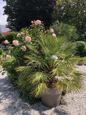 Fleurette Frühstückspension 4*